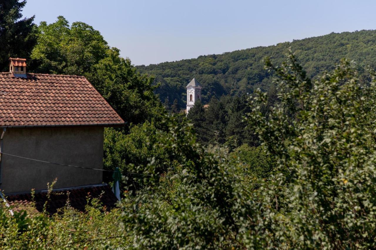 Вілла Mi Casa 2 Врднік Екстер'єр фото